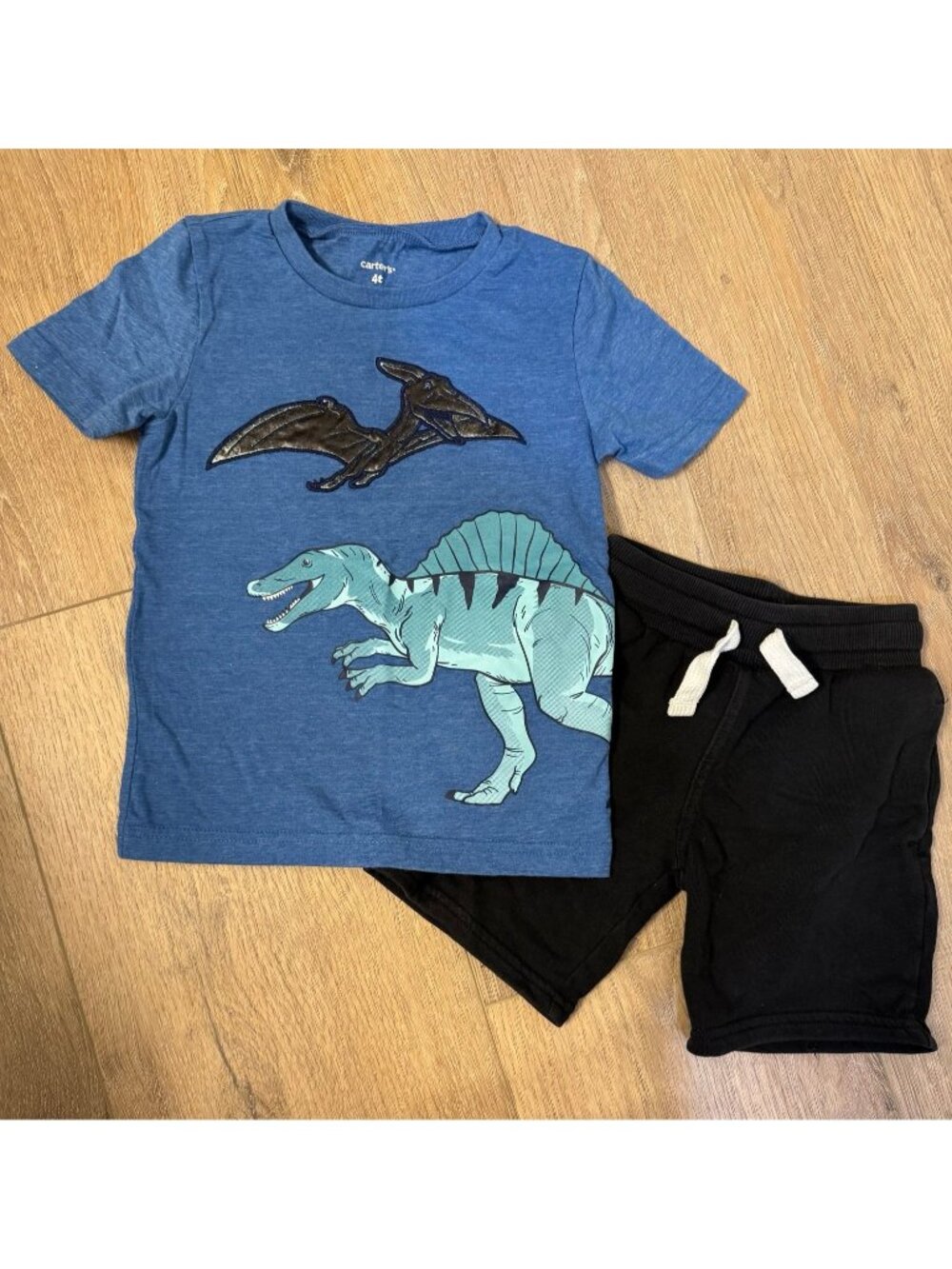 Little Boys 2 piece Short Set Size 4T